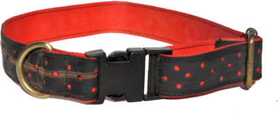 

Green The Map Dog Everyday Collar(, Black
