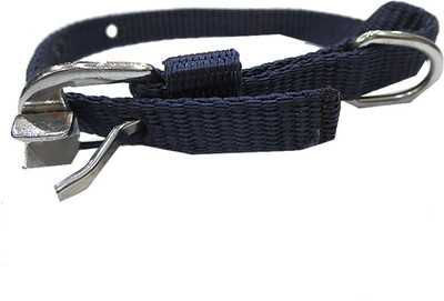 

DCS Dog Everyday Collar(, Blue