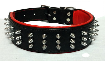 

Petshop7 Hiqh Quality 1.50 inch Xtra Large Dog Everyday Collar(, Black