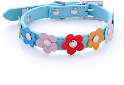 

Ginipet Dog Everyday Collar(, BLUE