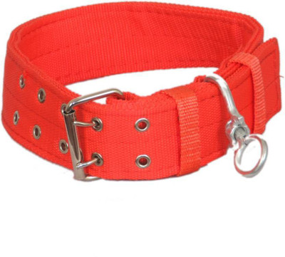 

Sollar's Red Nylon  Elegant Look Dog Everyday Collar(, Red