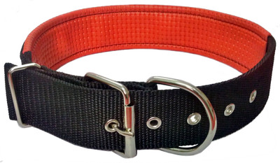 

Sollar's Nylon Padded  Dog Everyday Collar(, Black, Red