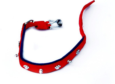 

Pet Empire Dog Everyday Collar(, Red