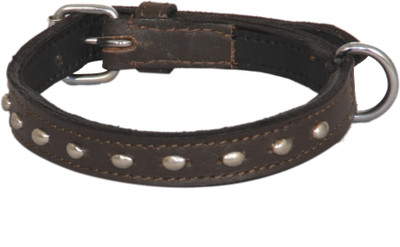 

Pethub Standard Collar -Brown Dog Everyday Collar(, Brown