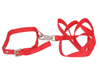 

Wonder Wish Dog Collar & Leash(, Red