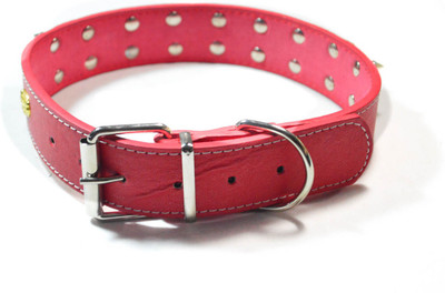 

Sollar's 55 cm Dog Strap Leash(Red)