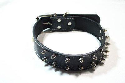 

Sollar's 50 cm Dog Strap Leash(Black)