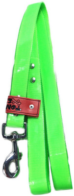 TommyChew 119.38 cm Dog Cord Leash(Green)