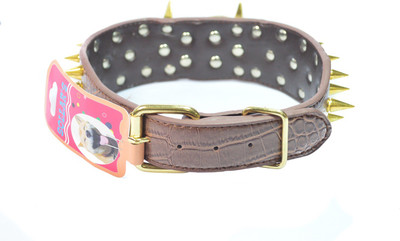 

Sollar's 50 cm Dog Strap Leash(Brown)