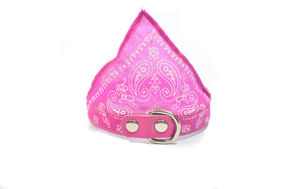

Sollar's 32 cm Dog Strap Leash(Pink)