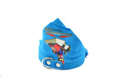 

Sollar's 40 cm Dog Strap Leash(Blue)
