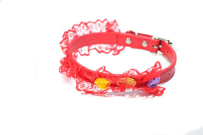 

Sollar's 45 cm Dog Strap Leash(Red)