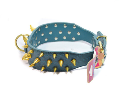 

Sollar's 45 cm Dog Strap Leash(Blue)
