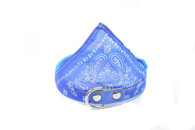 

Sollar's 36 cm Dog Strap Leash(Blue, White)