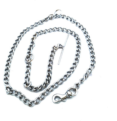 SCOOBEE 152 cm Dog Chain Leash(Silver)