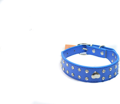 

Sollar's 45 cm Dog Strap Leash(Blue)