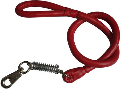 

Pets Planet 115 cm Dog Cord Leash(Red)