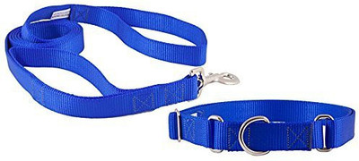 Dog Spot 89 cm Dog Strap Leash(Blue)