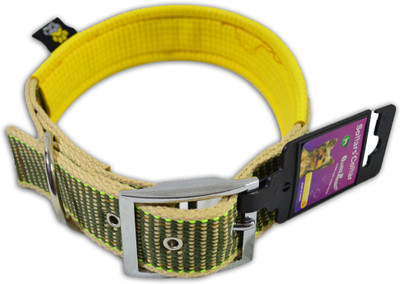 

Sollar's 160 cm Dog Strap Leash(Multicolor)