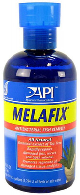 API Internal Anti-fungal Medication Liquid(237 ml)