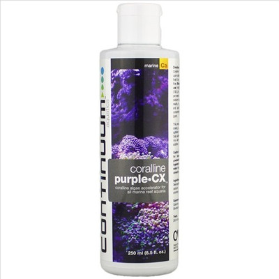 

Continuum Vitamin Supplement Liquid(250 ml)