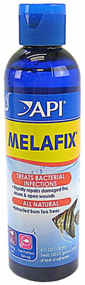 

API Internal Anti-fungal Medication Liquid(118 ml)