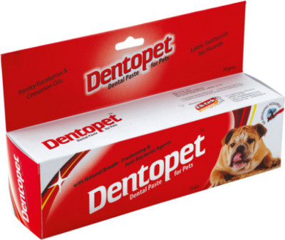 

All4pets DP96325 Pet Toothpaste(Dogs)