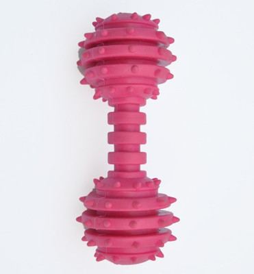 

Ginipet Rubber Rubber Toy For Dog