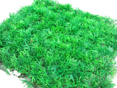 

Quality Traders Plastic Soft Toy For Fish