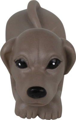 

Sollar's Rubber Fetch Toy For Dog