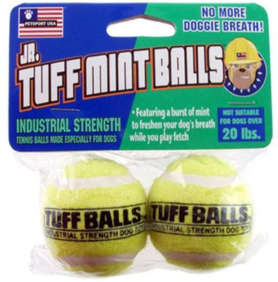 

Petsport Tuff Mint Ball For Dog
