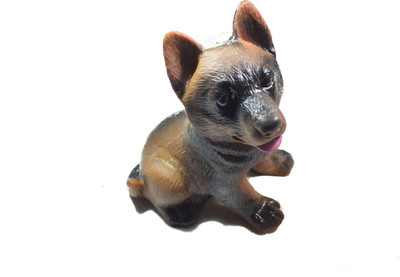 

Sollar's Rubber Rubber Toy For Dog