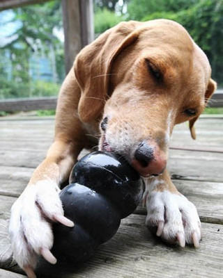 Kong Extreme Rubber Rubber Toy For Dog