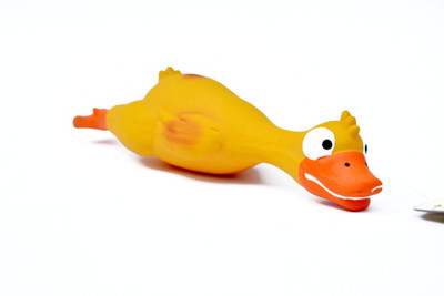 

Pet Empire Rubber Soft Toy For Dog