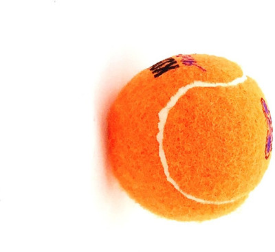 

Scoobee Rubber Ball For Dog