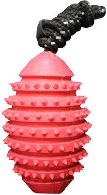 

Love N Care Studded Rugby Ball with Rope - Small Rubber Chew Toy For Dog