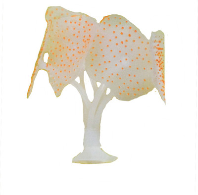 

Creative Spinach Orange Coral Silicone Rubber Toy For Fish