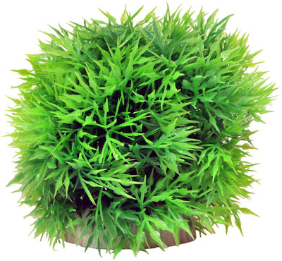 

Quality Traders Plastic Rubber Toy For Fish