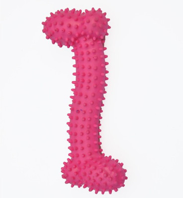 

Ginipet Rubber Rubber Toy For Dog