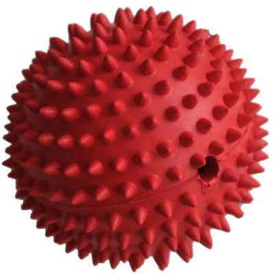 

Love N Care Silicone Rubber Toy For Dog