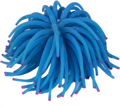 

Royal Pet Rubber Fetch Toy For Fish