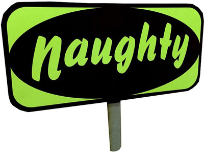 

Fancy Steps Naughty Photo Booth Board(Party)