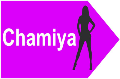 

Funcart Chamiya Photo Booth Board(Party)
