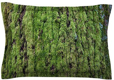 

Kess InHouse Filled Size Pillow Protector