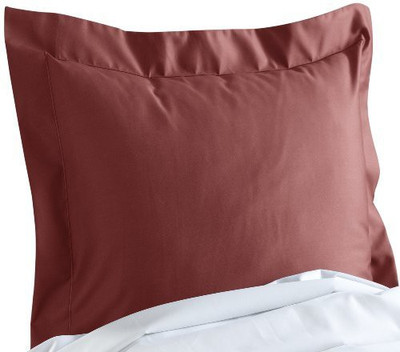 

CUDDLEDOWN Filled Size Pillow Protector