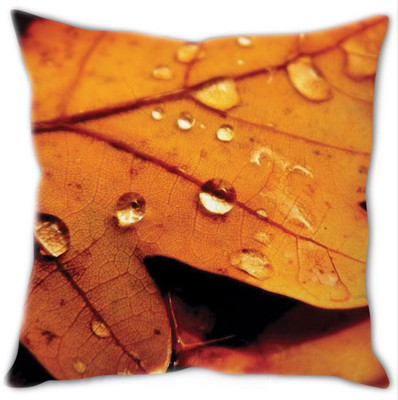 43% OFF on StyBuzz Polyester Fibre Printed Decorative Cushion Pack of 1(White)