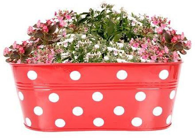 TrustBasket DOTTED OVAL RAILING PLANTER - RED Plant Container Set(Metal)