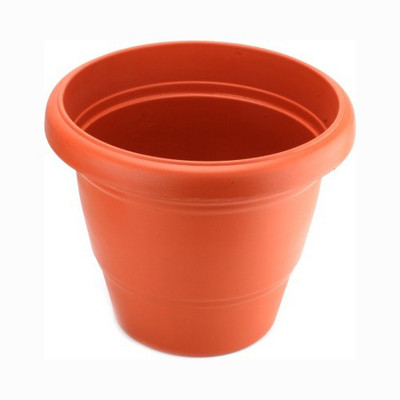 

Toygully Ring Plant Container Set(Pack of 3, Plastic)