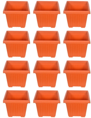 

Real Seed Square Planter Highly Durable And Elegant Plant Container Set(Pack of 12, Plastic)