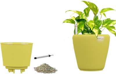 

Yuccabe Italia Stoic Yellow Self Watering Planter Plant Container Set(Plastic)